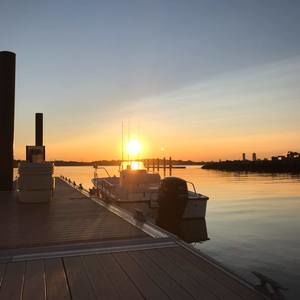 Meet your Posher, Cole